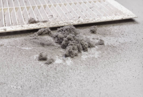 Best Home Air Vent Cleaning  in Edgerton, KS