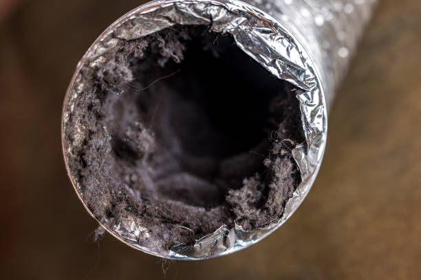 Best HVAC Maintenance and Cleaning  in Edgerton, KS